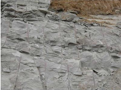 人工砂巖中針片狀含量的與試驗