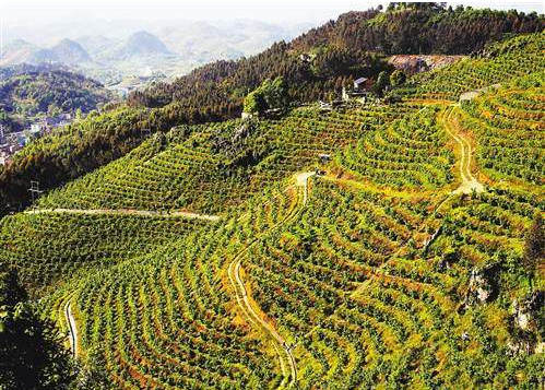 中“綠色礦山”發展歷程大事記