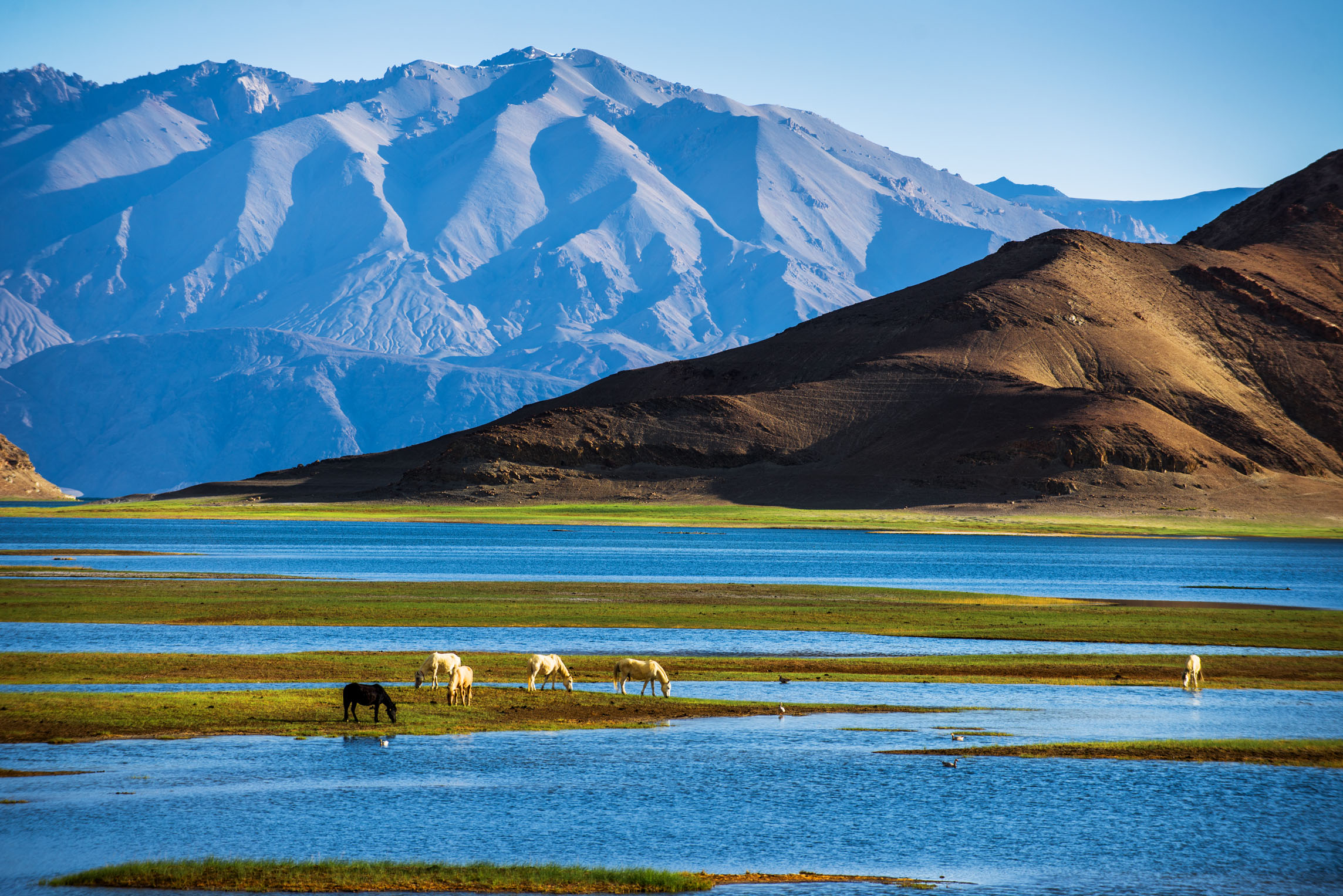 ߲T4_չȻo(h)^(q)ʯɰ(xing)!